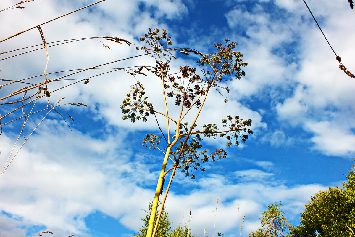 ДОБРО ПОЖАЛОВАТЬ НА СМОЛЕНЩИНУ!