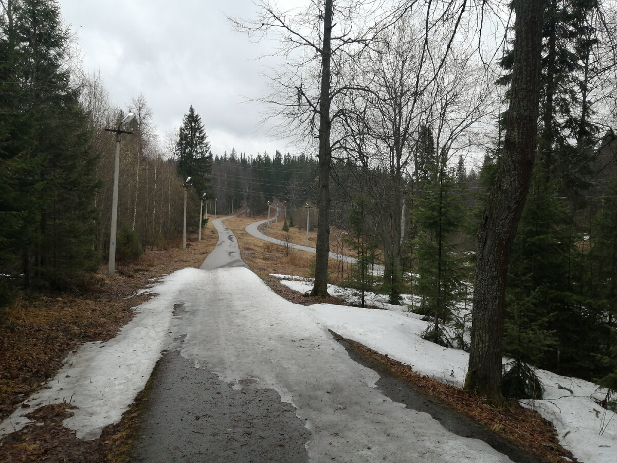 Асфальтированная дорожка на лыжной базе