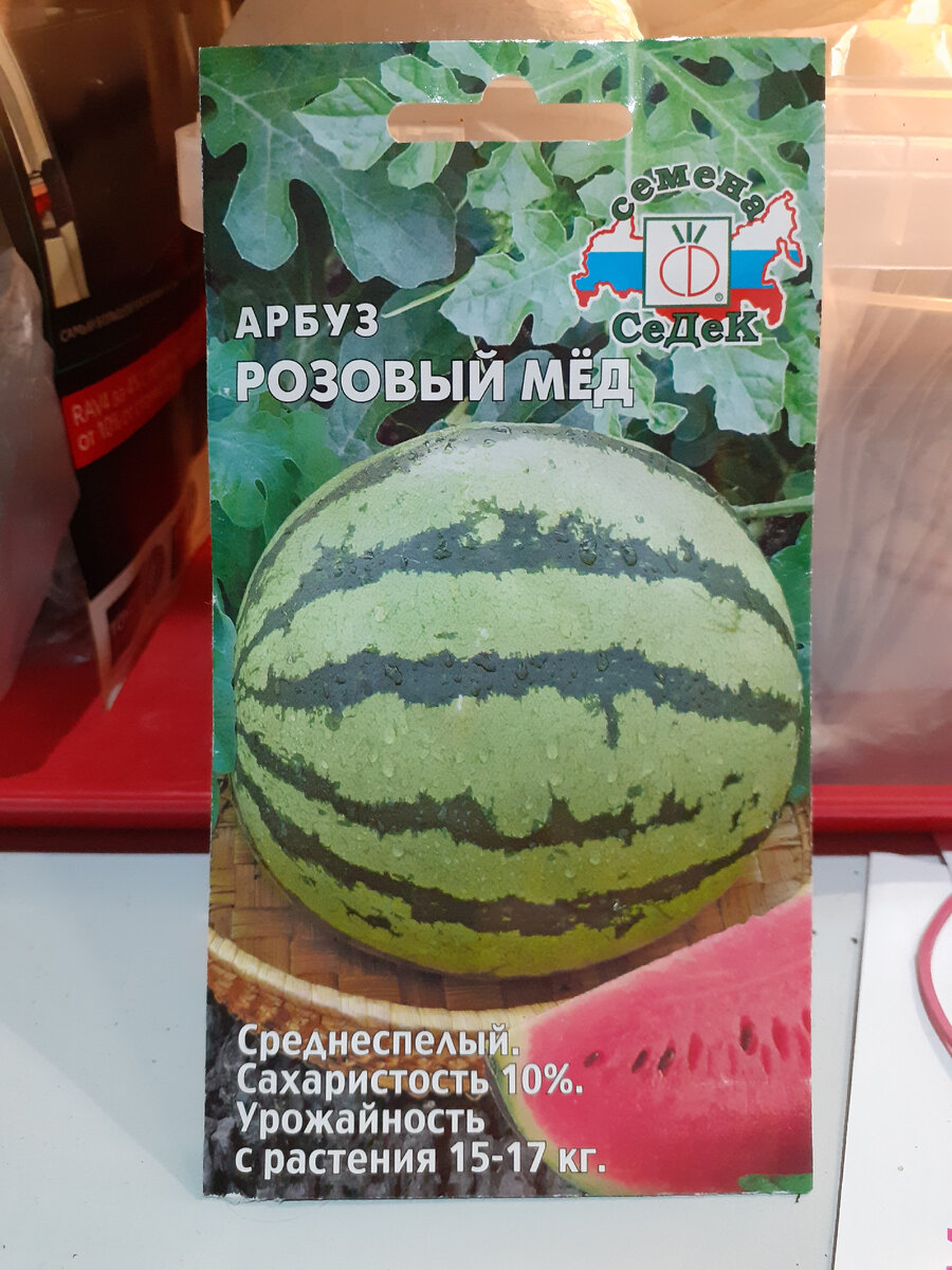 Как прорастить семена арбузов без замачивания 100% способ +  обзор-эксперимент по сортам и их всхожести | На хозяйстве!! Сад-огород |  Дзен