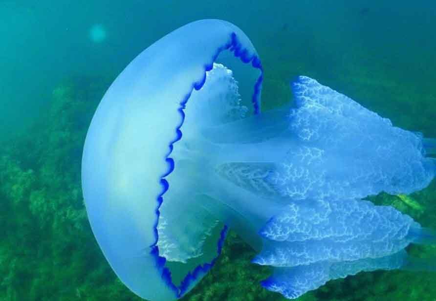 Фото: proexpress.com.ua