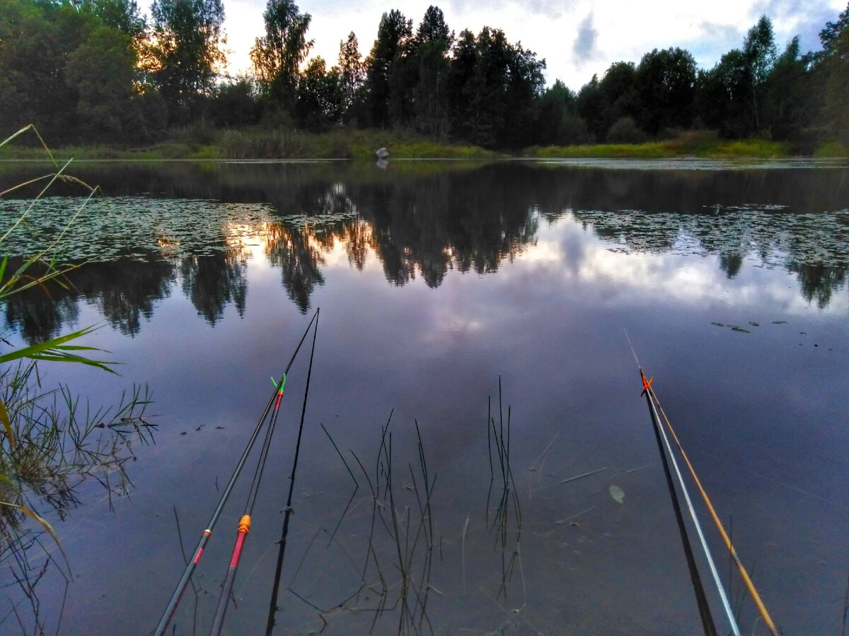 Моя вычищенная точка