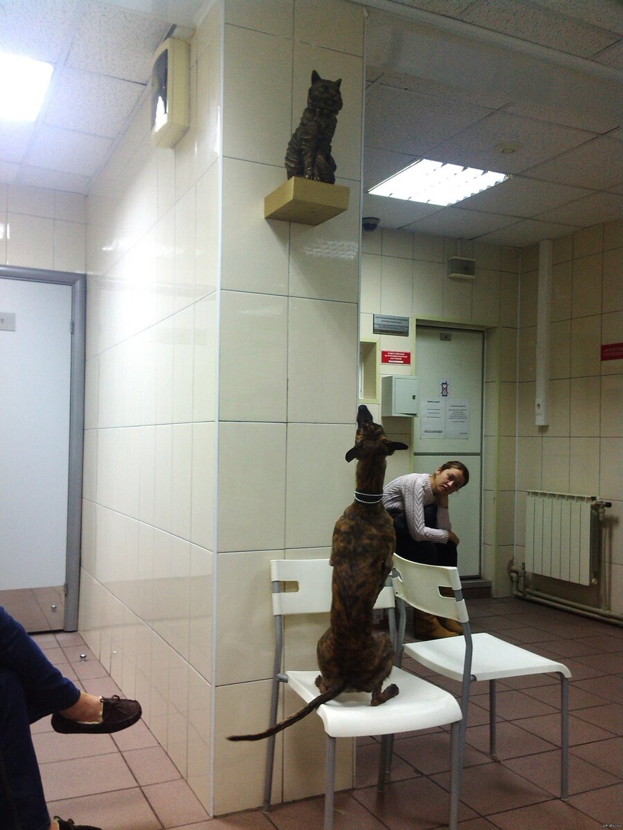 Источник Яндекс.картинки