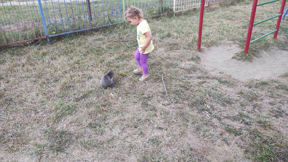 Весь день, 5 дней в неделю воспитатели и нянечки с нашими детьми. Видим ребенка рано утром и вечером после 5-6 часов. 