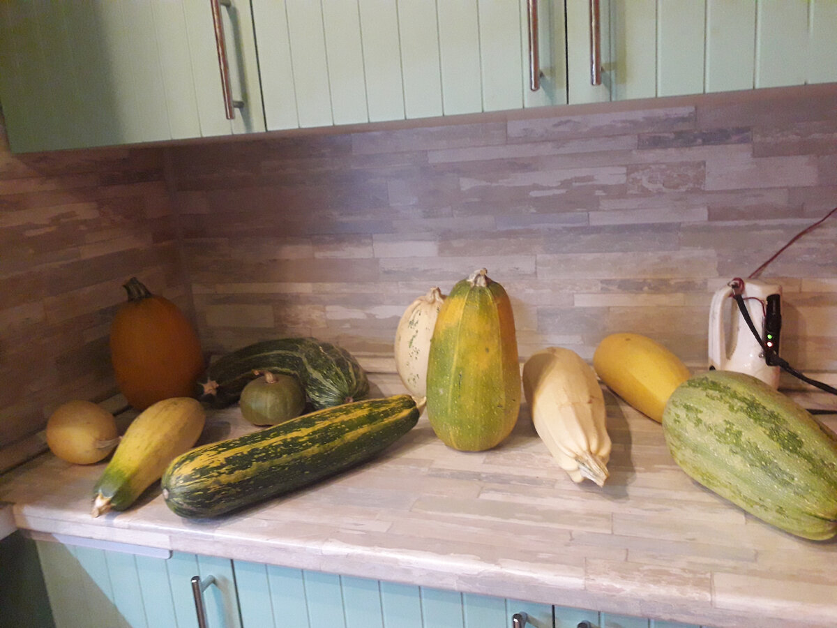 Фото автора канала