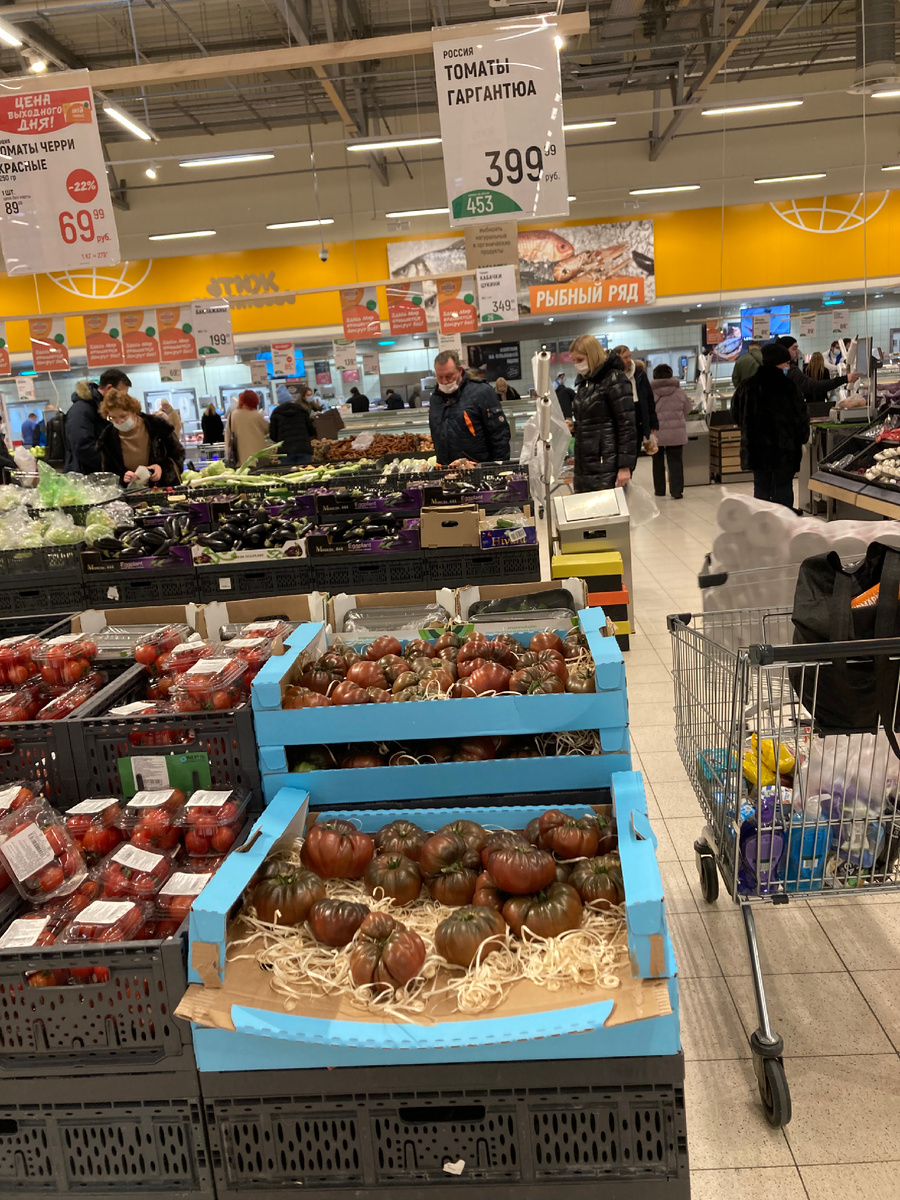 Помидоры в Глобусе