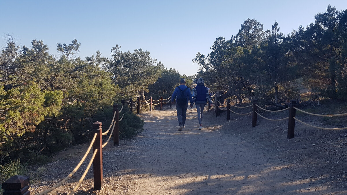 Можжевеловая роща Нового Света.