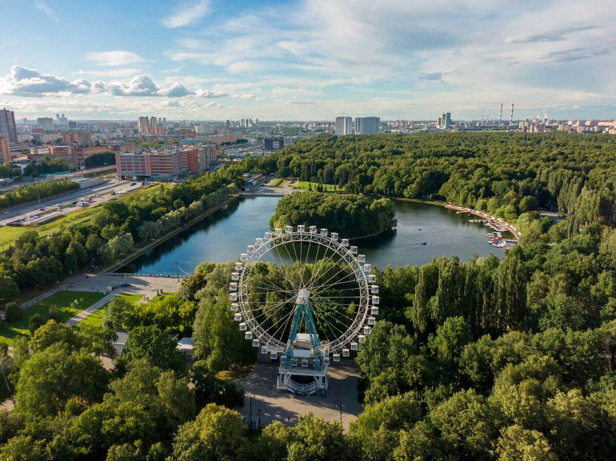 Сокольники район москвы