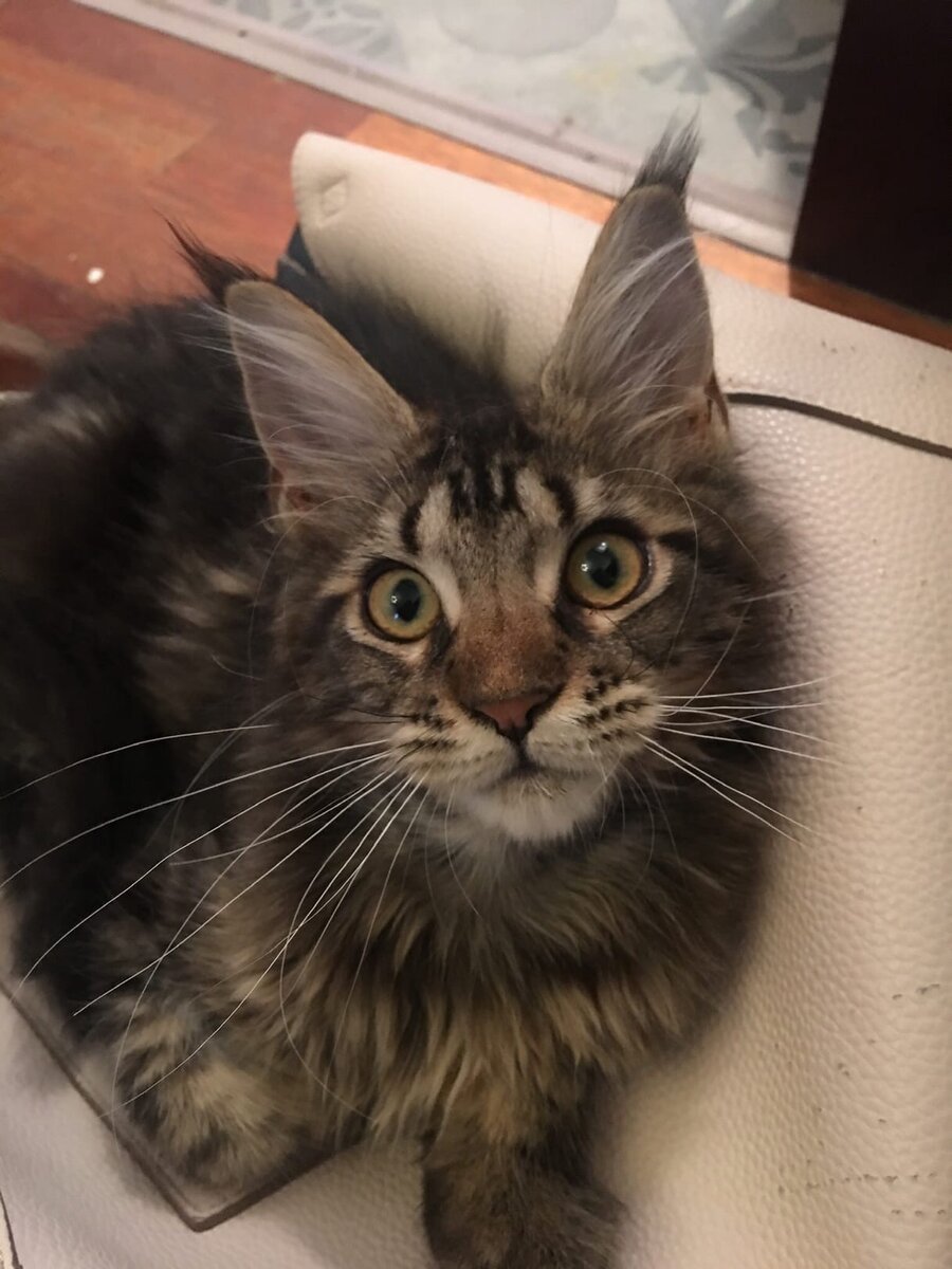 Фото из личного архива.