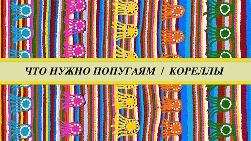 Содержание попугаев корелл: клетка, кормление, ветки, лампа, приручение, гнездо.