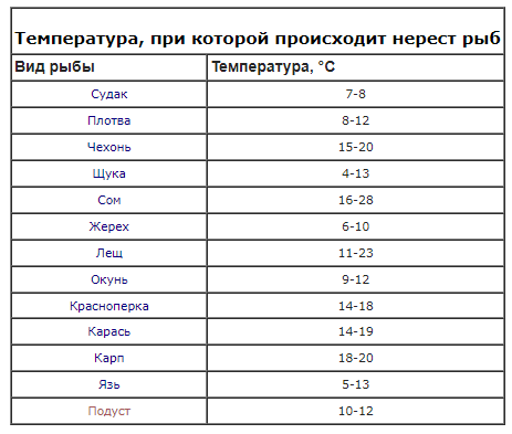 Мальчик решил почистить аквариум начал с переселения рыб в банку таблица эксель