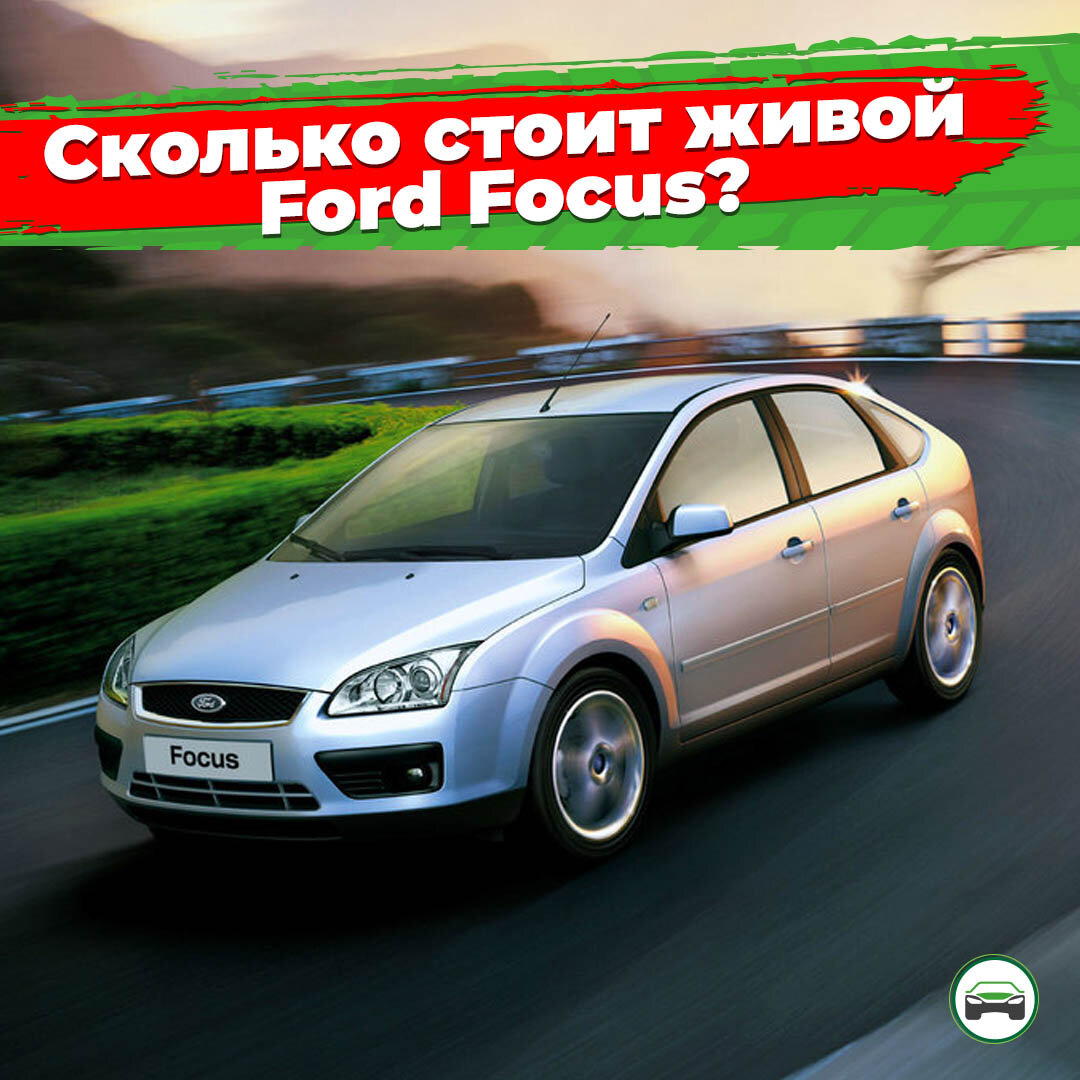 Сколько стоит сейчас живой Ford Focus или как не купить автохлам? |  АВТОПОДБОР КУПИТАЧКУ | Дзен