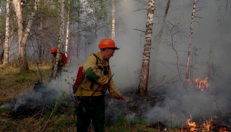 Фото: Авиалесоохрана