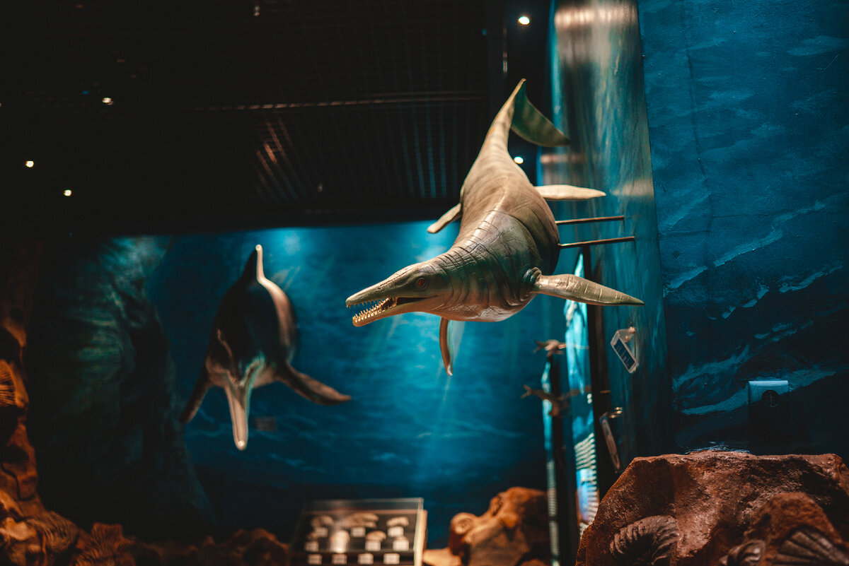 Внутри океанариума большая часть выделена возникновению жизни в воде и исчезнувшим видам