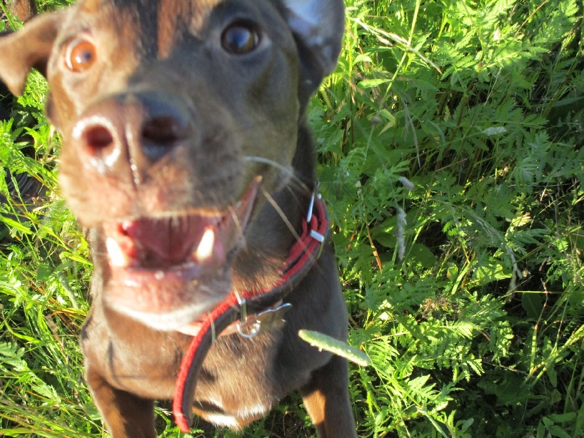 Герда проверяет своего человека.