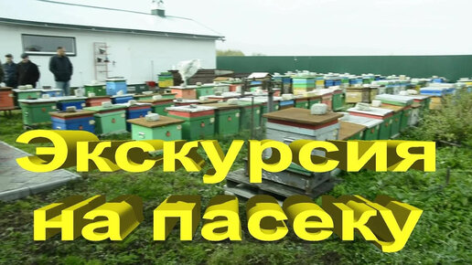 В гостях на пасеке у Александра в Нижнеингале.