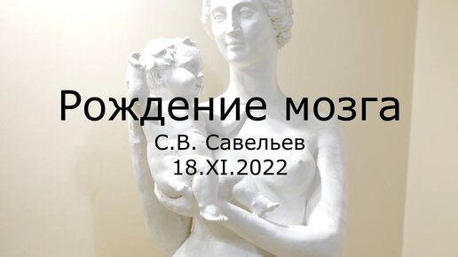 С.В. Савельев. Рождение мозга - [20221125]