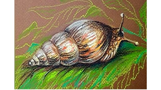 🐌🌿Улитка. Рисунок пастельными карандашами на тонированной бумаге.