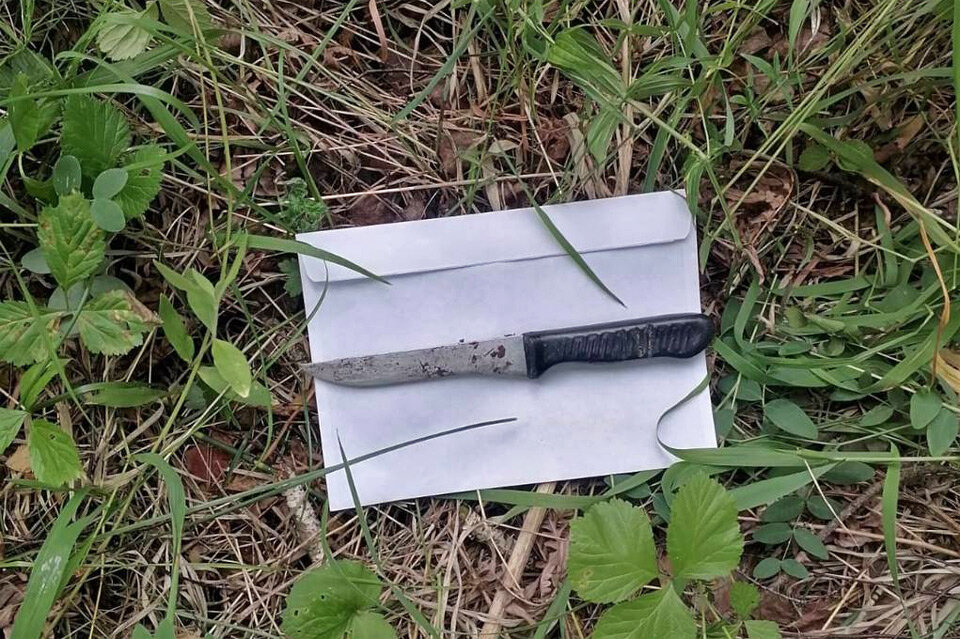     В убийстве, совершенном с помощью ножа, подозревается ранее судимый за убийство и изнасилование 34‑летний дивногорец. Он оставил на месте преступления свой биологический материал