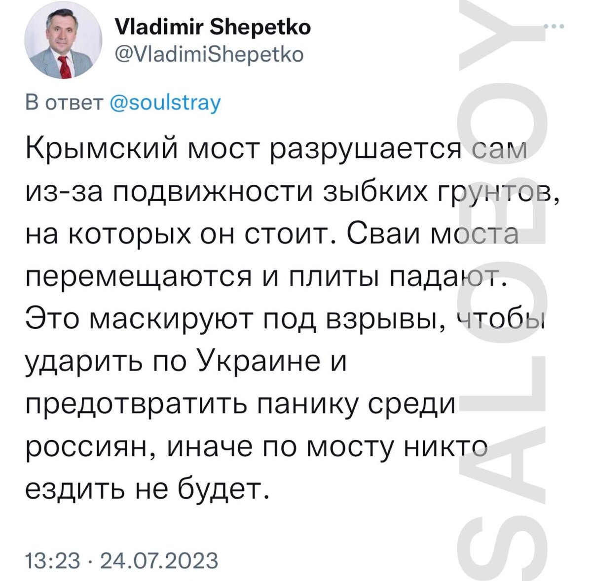 Фото: скриншот из Twitter/Владимир Шепетько