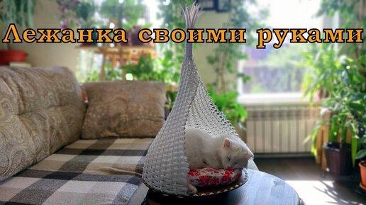 7 простых способов сделать лежанку для кошки своими руками