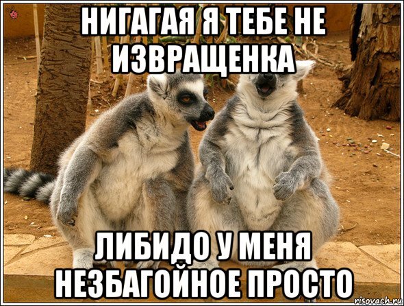 Яндекс.Картинки