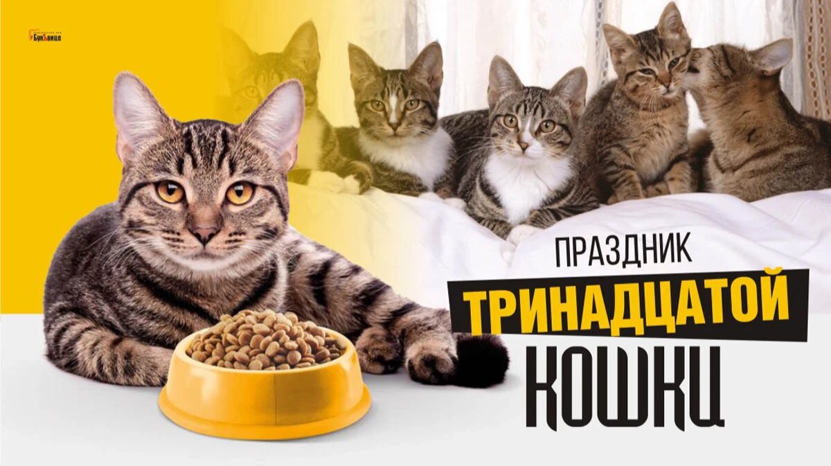 Праздник тринадцатой кошки. Иллюстрация: «Весь Искитим»