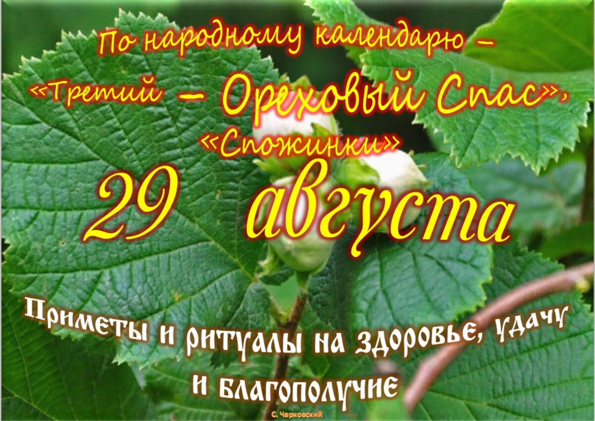 29 августа - Приметы, обычаи и ритуалы, традиции и поверья дня. Все  праздники дня во всех календарях. | Сергей Чарковский Все праздники | Дзен