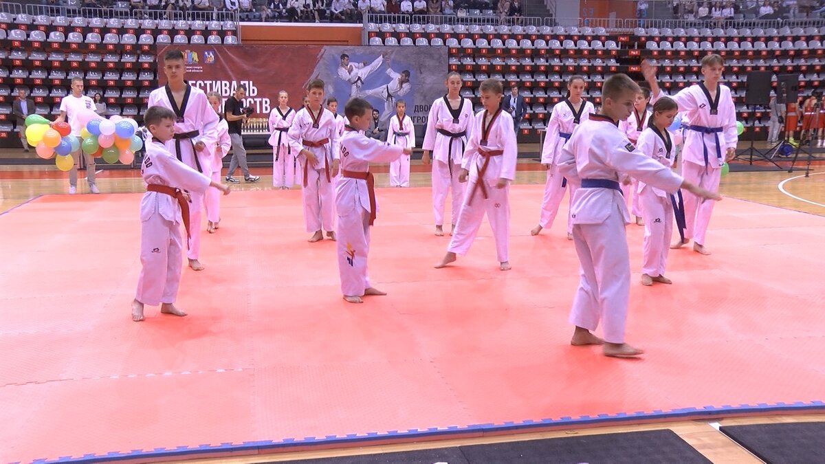     VI фестиваль восточных единоборств: новые рекорды федераций и мэра