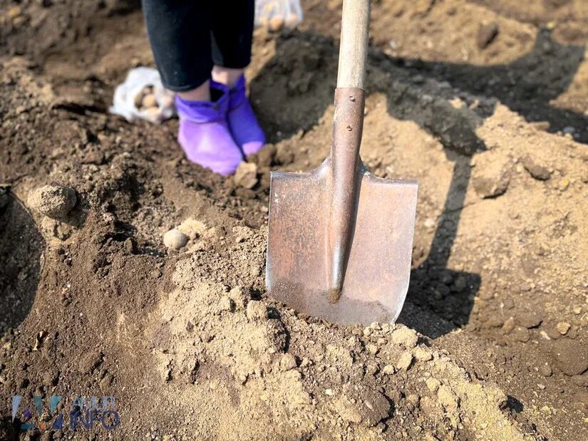    Фото: Амур.инфо