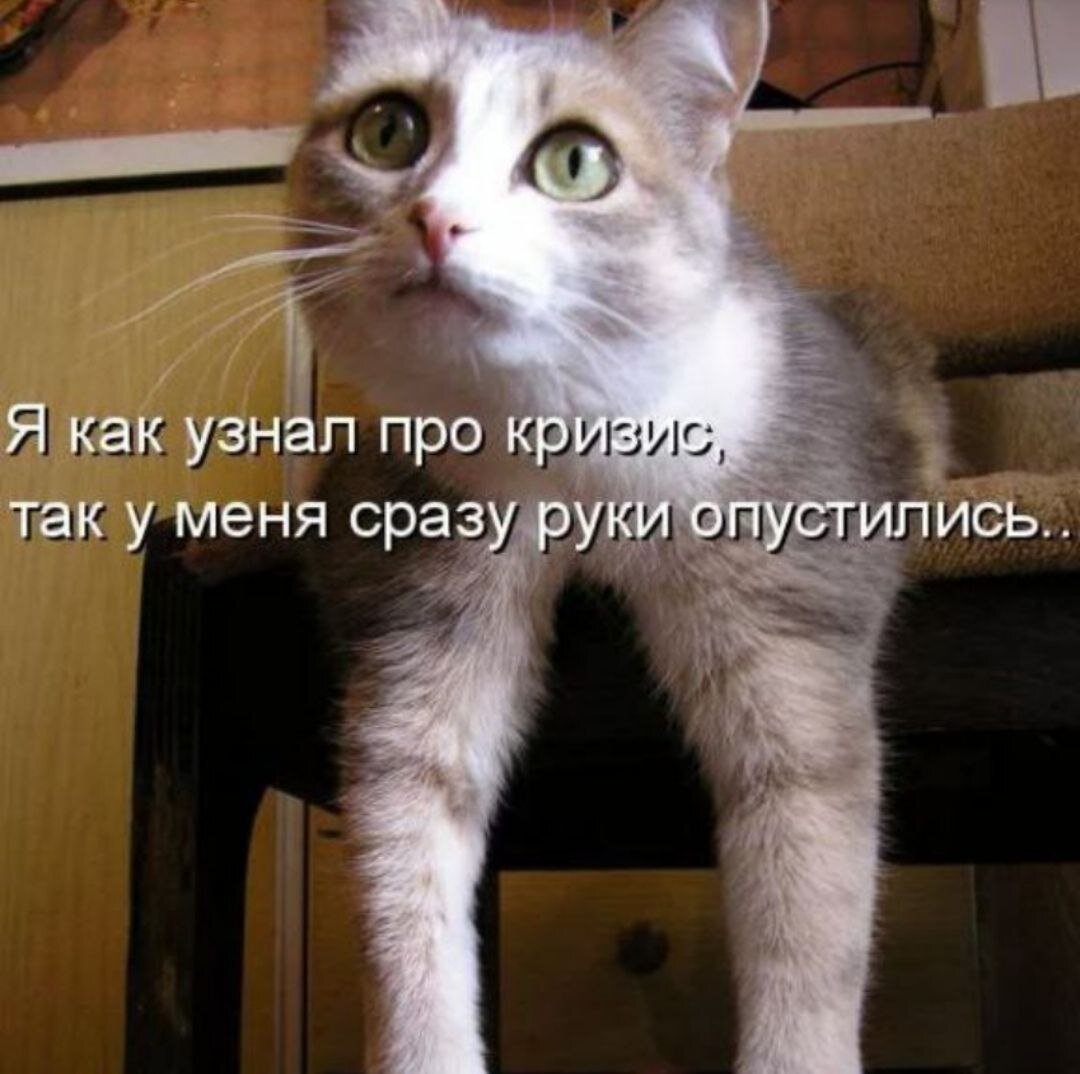 РИЗИС СРЕДНЕГО ВОЗРАСТА. КОГДА ОН НАСТУПАЕТ? ЧТО НЕСЕТ?

Конечно, многие слышали про теневые узлы РАХУ и КЕТУ, но не все знают, что такая неприятность, как "Кризис среднего возраста", напрямую зависит от периодов и транзитов этих "планет".

Влияние этих кармических узлов трудно переоценить. Они определяют наши задачи и таланты, успехи и падения.
Раху и Кету - это математически вычисленные точки, которые находятся в местах пересечения Лунной орбиты с Солнечной эклиптикой. Эклиптика - это видимы путь Солнца вокруг Земли.
Таких пересечений два - Северный узел (Раху) и Южный узел (Кету).
Эти узлы движутся со скоростью 19 градусов и 30 секунд в год. Один знак Зодиака каждый из них проходит за 1,5 года. Полный зодиакальный круг они проходят за 18,5 лет. То есть, когда человеку исполниться 18,5 лет, Раху и Кету возвращаются в свое натальное положение.

Раху показывает наши желания, устремления и кармические задачи, которые мы должны выполнить в этом воплощении.
Кету - знания и навыки, полученные в прошлой жизни.
В каких сферах жизни будут проявлять себя эти "планеты", показывают дома гороскопа и знаки в которых находятся Раху и кету.

Сложный момент жизни, который именуют "Кризисом среднего возраста", чаще всего возникает, когда у человека идет планетарный период Раху или Кету, у каждого он начинается в разное время.

ПЕРИОД КЕТУ длится 7 лет.
В этот период у человека происходит серьезная трансформация сознания. Многие начинают понимать, что существуют другие знания и другие силы. Некоторые в это время бросают учебу, работу, семью. Начинаются финансовые проблемы, разлад и непонимание с близкими людьми. Человек начинает ощущать себя брошенным и не нужным. Усиливается слабость и сонливость. Здоровье тоже страдает. Могу возникать болезни, которые трудно поддаются диагностике.
У некоторых в этот период могут открыться способности к экстрасенсорике. Начинают сниться странные сны, возникают видения.
Под влиянием Кету человек может кардинально изменить свою жизнь, в какой сфере это будет происходить, зависит от расположения Кету в вашей натальной карте.

ПЕРИОД РАХУ длиться 18 лет.
Это очень не однозначный период. Человек в это время может взлететь на небывалую высоту, а может свалиться на саме дно.
У кого-то может начаться головокружительный подъем по служебной лестнице, могут появиться новые друзья, связи с зарубежными странами.
Если в период Раху заключается брак, то часто бывают какие-то неординарные особенности. Партнер может быть другой национальности, другой веры, может быть большая разница в возрасте. Такой брак редко бывает долговечным, так как Раху показывает расставания.
В период Раху человек может покинуть страну, город, дом, семью.
Могут возникать проблемы с законом.
Особенно серьезно в это время надо отнестись к своему здоровью. Раху часто дает болезни, которые протекаю без симптомов. Самая распространенная болезнь, которую дает Раху - это РАК. Так как человек не чувствует наступление болезни, обнаруживают его уже на последних стадиях. Если у вас идет период Раху, чаще проходите обследование!
НО! Если в вашей натальной карте Раху расположен благоприятно, то в его период можете подняться высоко в социальном статусе, получить комфортную, приятную жизнь.

Не менее значимы транзиты Раху и Кету. Когда они движутся по домам гороскопа, то всегда вносят серьезные изменения в эти сферы жизни. В каждом доме они находятся 1,5 года.
Особенно важные, значимые события происходят, когда эти кармические узлы встают в те дома, где находятся натальные Раху и Кету. Это происходит каждые 18 лет (возвратный транзит).
Каждые 9 лет Раху становится на место Кету, а Кету на место Раху. В это время энергии узлов встречаются.
Если человек следовал своему истинному предназначению, то в этот период он испытывает глубокое внутреннее удовлетворение.
Если же нет, то он переживает интенсивный внутренний переворот. Оглядывается назад и переосмысливает все, что делал до сих пор. Начинает осознавать, что занимался не своим делом, жил не там и не с тем. И часто в этот период человек резко меняет свою жизнь.

Все эти транзиты и периоды кармических узлов Раху и Кету и провоцируют КРИЗИС СРЕДНЕГО ВОЗРАСТА.
Каждый из нас проживает его по-своему. Это зависит от нашей осознанности, нашей жизненной позиции.
Но, самое главное, от положения этих узлов в натальной карте.

Приглашаю на консультацию тех, кто хочет понять причины своих неудач, болезней, потерь. Тех, кто хочет изменить свою жизнь, увидеть путь по которому идти будет легче и комфортнее.
Пишите мне в личку https://vk.com/astrolog_elena_isaeva
