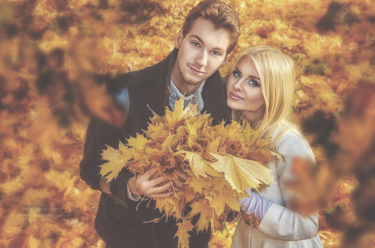 Яндекс картинки