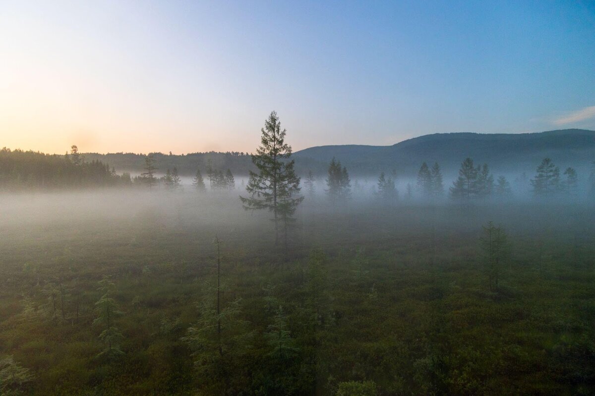 Природа Хабаровского края на рассвете в тумане