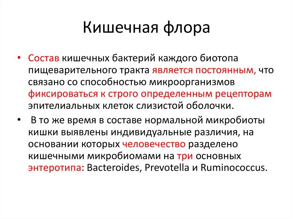 Иллюстрация взята с сайта яндекс Картинки