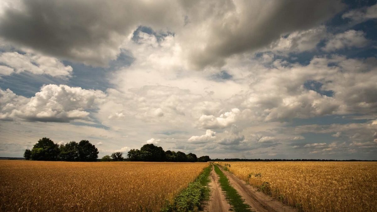    Фото: Unsplash Август Макаров