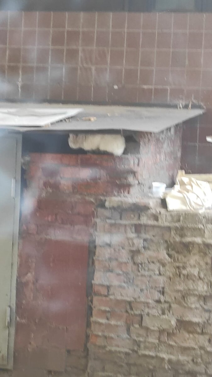 Кота видите? А он есть