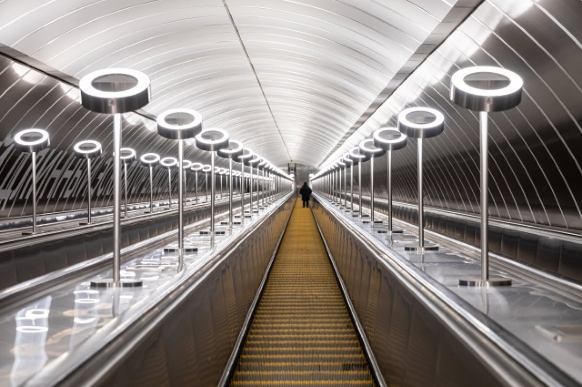    В Шушарах хотят построить новую станцию метро «Центральная усадьба»