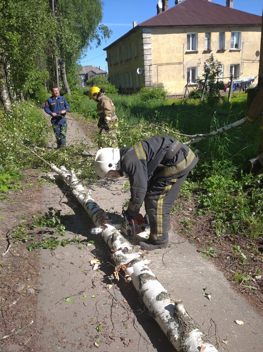 Ураган сорвал обшивку дома в Петрозаводске и повалил деревья в Муезерском  районе | Столица на Онего - новости Петрозаводска и Карелии | Дзен