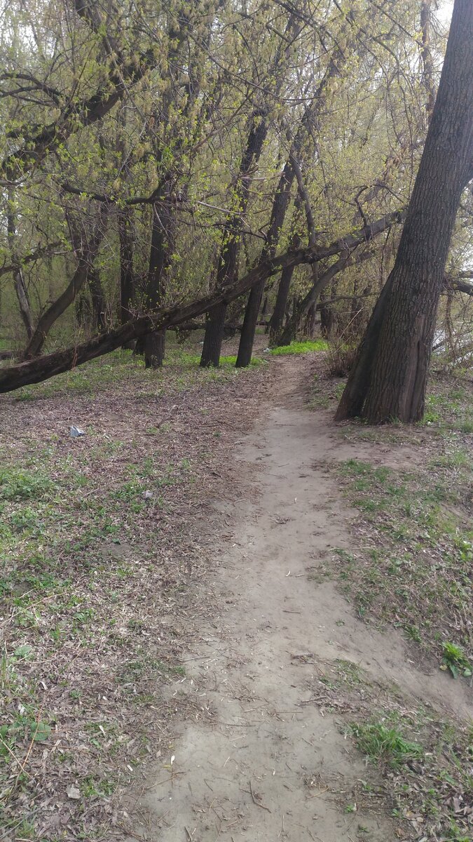 На берегу реки.