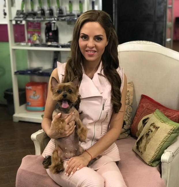 Ночью собаке Ефременковой стало плохо  
Фото: «Инстаграм»