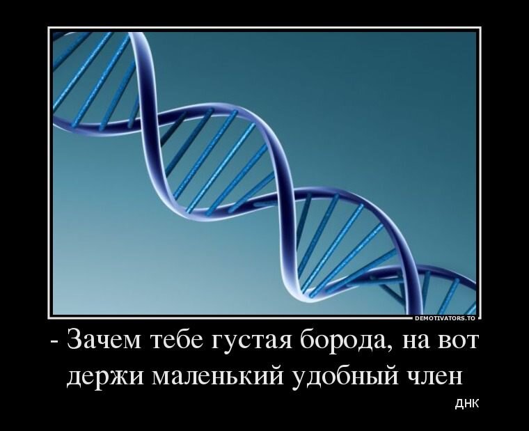 Жене очень нравятся волосатые члены!кто покажет моей свой хуй волосатый? | член на фоне фото | VK