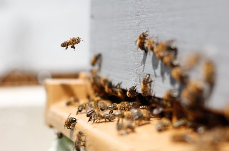 Фото: Damien Tupinier, Unsplash 