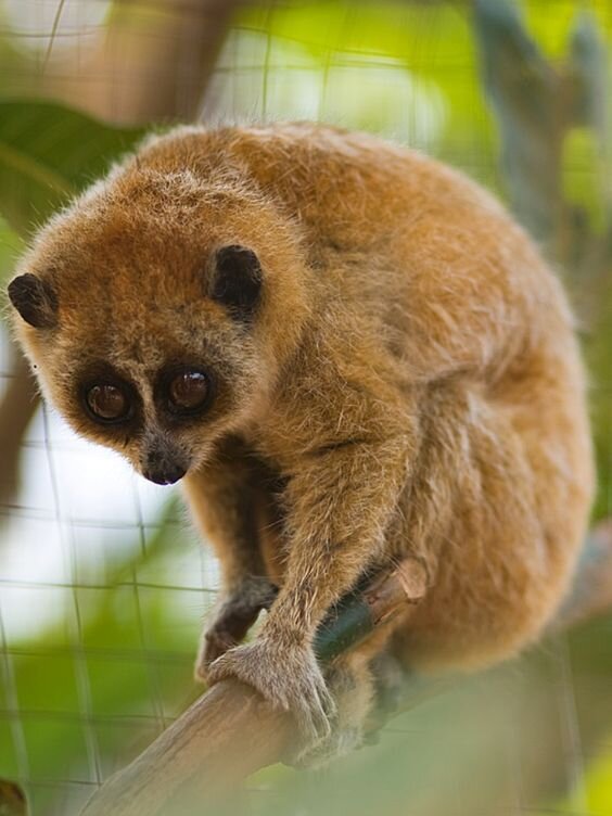 Источник https://www.pinterest.ru/pin/382383824591756138/