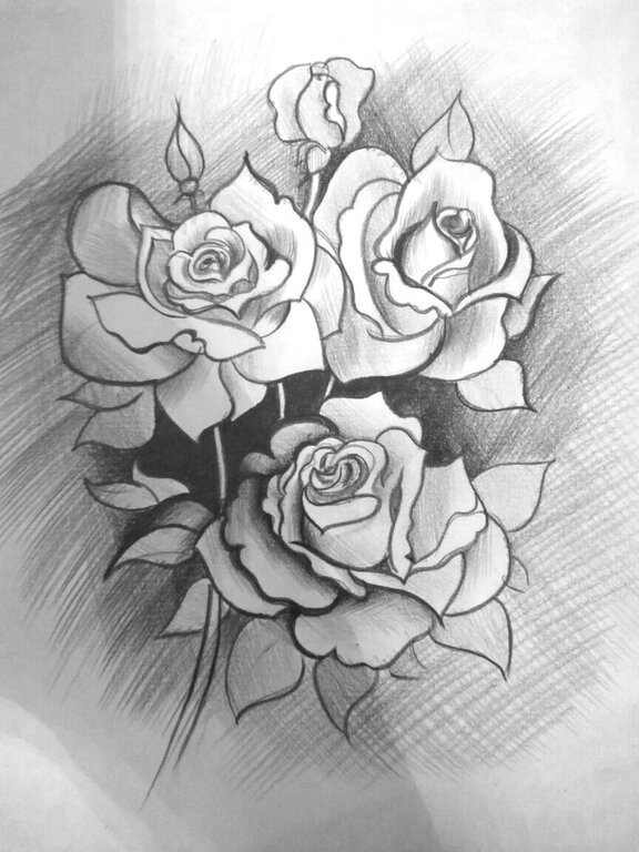 Картинки для срисовки розы