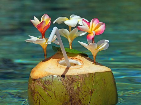 фото https://cdn.pixabay.com/photo/2020/01/02/22/04/coconut-cocktail-4736922__340.jpg