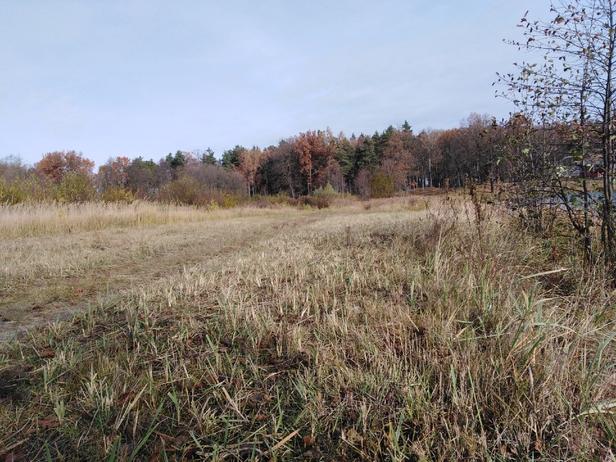 Осень Ноябрь 2019