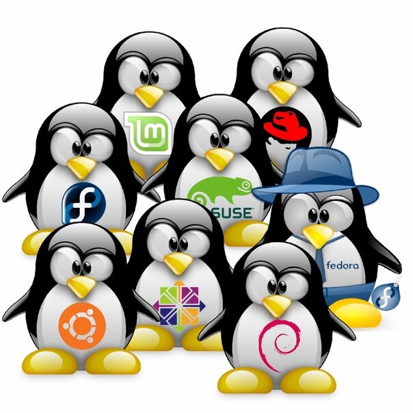      Логотипы некоторых ОС на базе Linux вместе с общим талисманом - пингвином Туксом (Tux) 