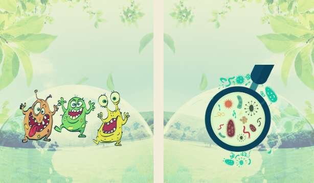 Болезнетворные и полезные микроорганизмы в природе 