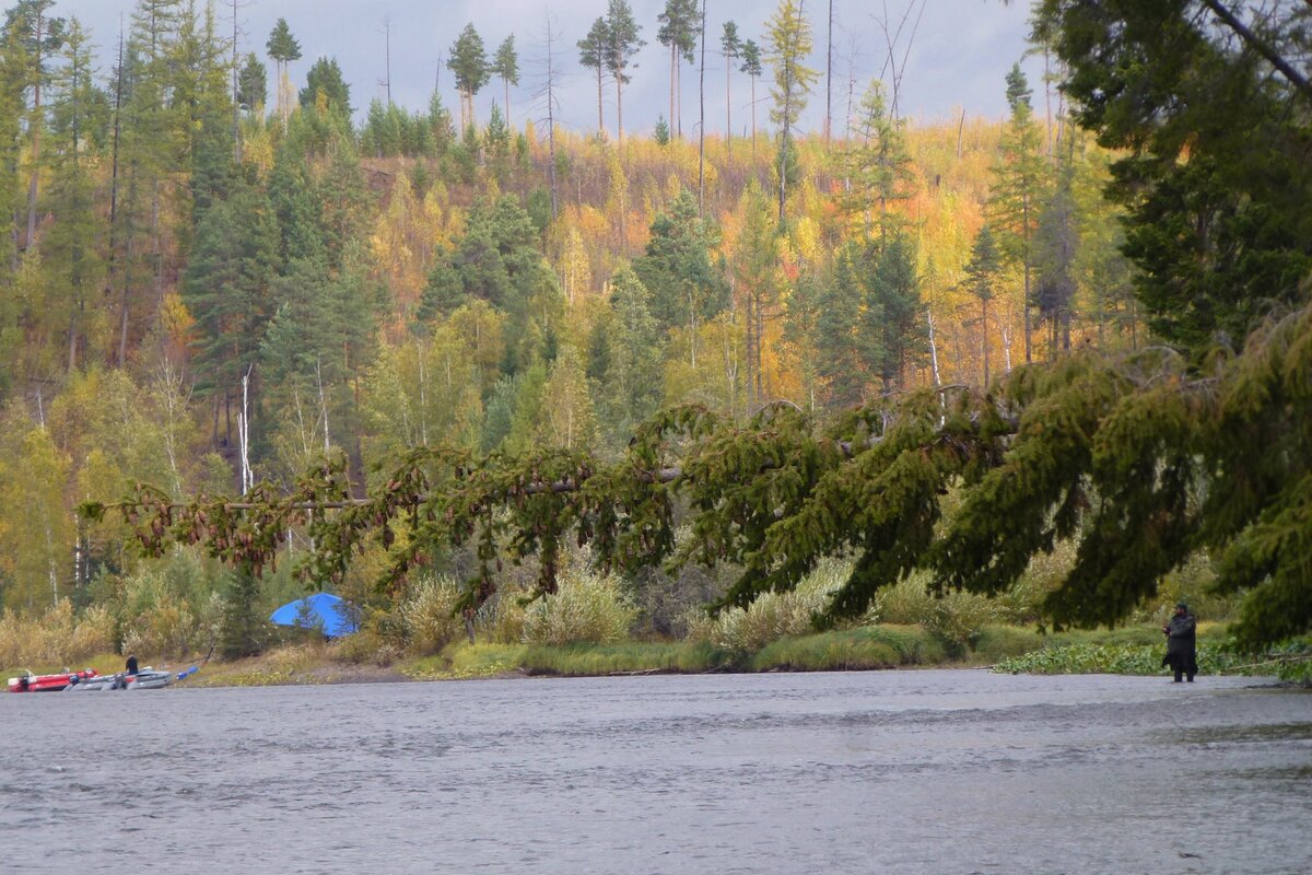 Река Лозьва