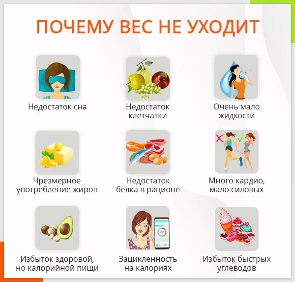 Диета «6 лепестков» — 67 ответов | форум Babyblog