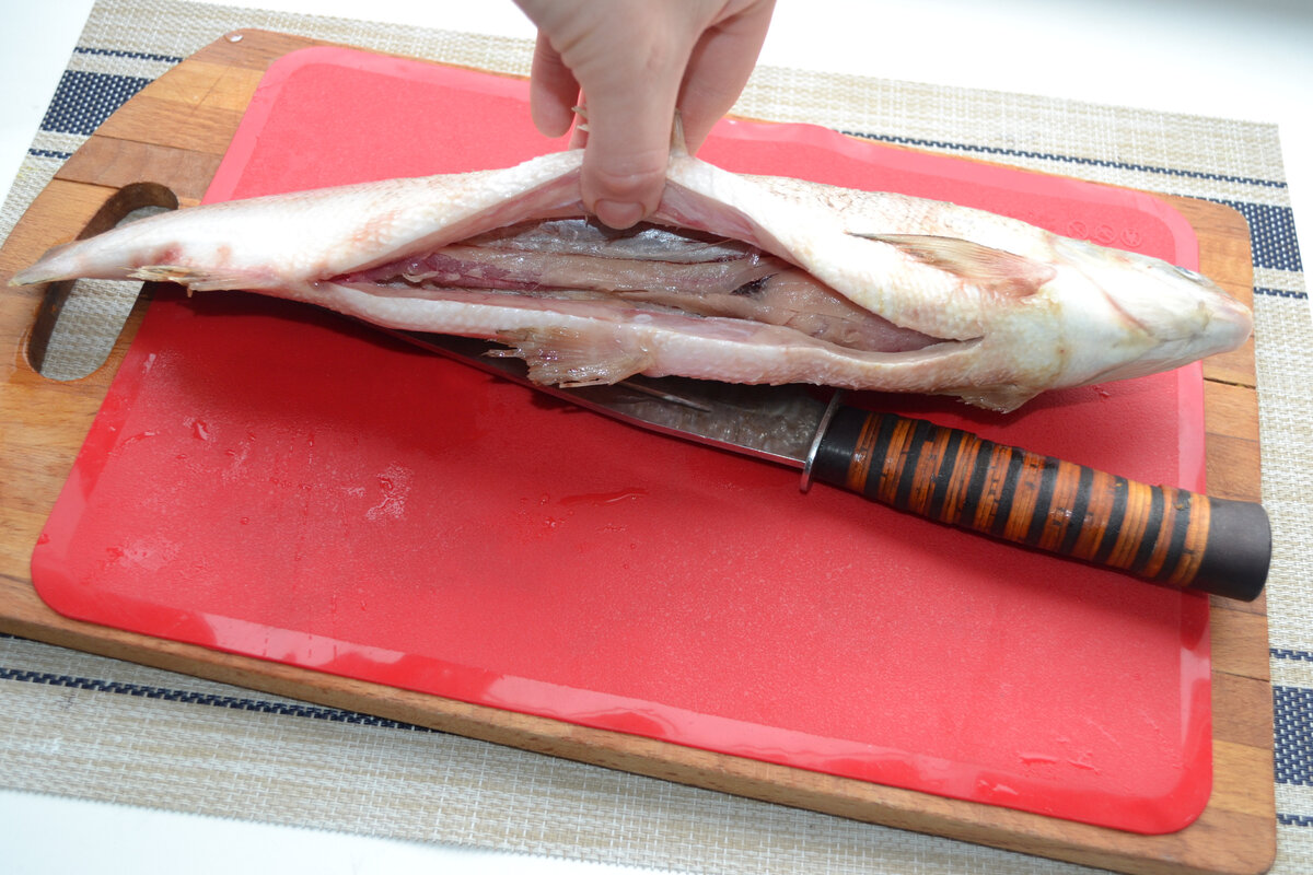 Щёкур или чир: что за рыба, чем полезна и как приготовить — фото и рецепты | Север-Пресс